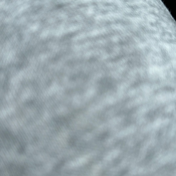 Meet your Posher, Lacey - Picture 1 of 1